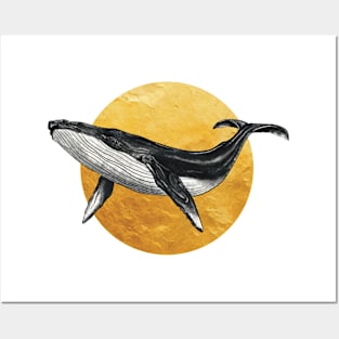 Great Humpback Whale in Golden Circle Posters and Art